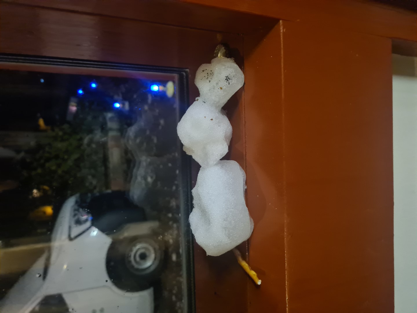 Buchenau_2022 (234).jpg